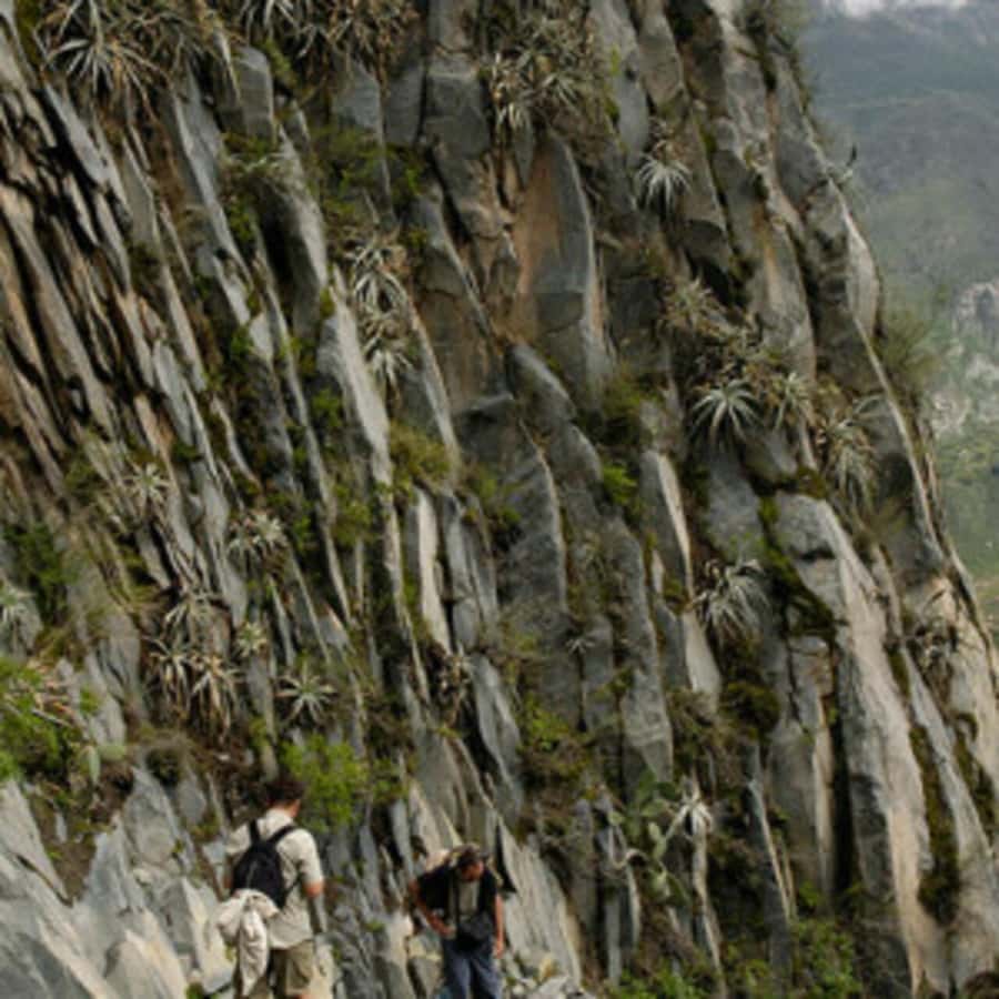 Arequipa: Colca Canyon Trekking 2 days and 1 night + food - Day 2 at 5:00am: The Ascent Back to Cabanaconde and a Guide Who Keeps You Moving
