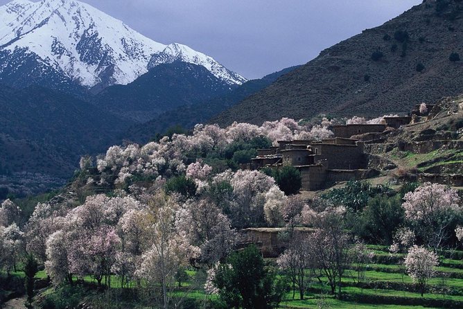Atlas Mountains & Berber Villages 3 Day Trekking Excursion from Marrakech - Guides, mules, and how the trip stays manageable