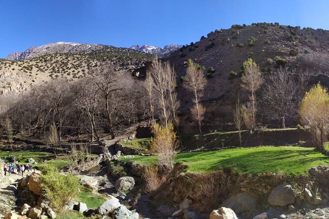 Atlas Mountains Day Trek - Private Tour Reality Check (and the Main Watch-Out)