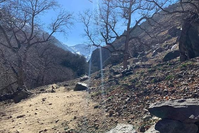 Atlas Mountains, Waterfalls Day Hike & Trek From Marrakech - Waterfalls and hidden gorges: when the scenery takes over your conversation