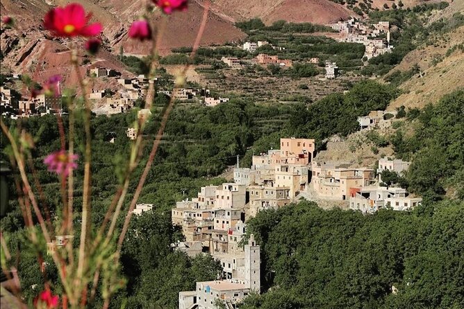 Atlas Mountains, Waterfalls Day Hike & Trek From Marrakech - Lunch at the Berber family house: what’s included and what costs extra