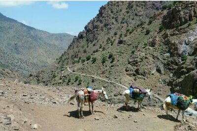 Atlas Valleys & Mount Toubkal Private 3 Days Trek From Marrakech - Price and value: what you’re paying for at $255.52 per person