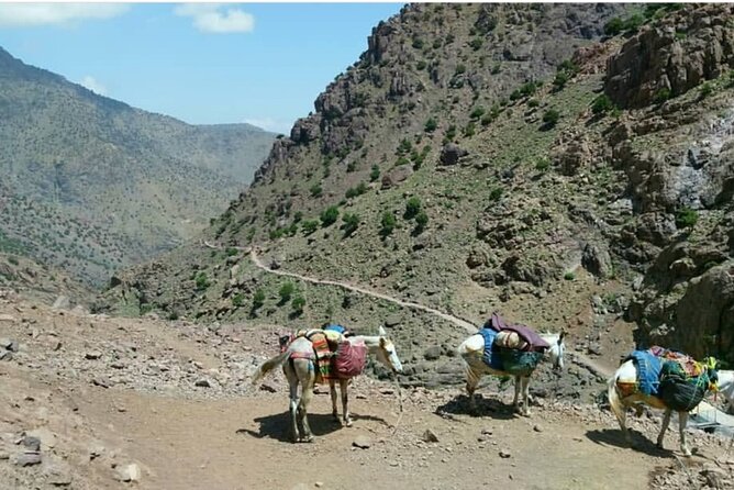 Atlas Valleys & Mount Toubkal Private 3 Days Trek From Marrakech - Price and value: what you’re paying for at $255.52 per person