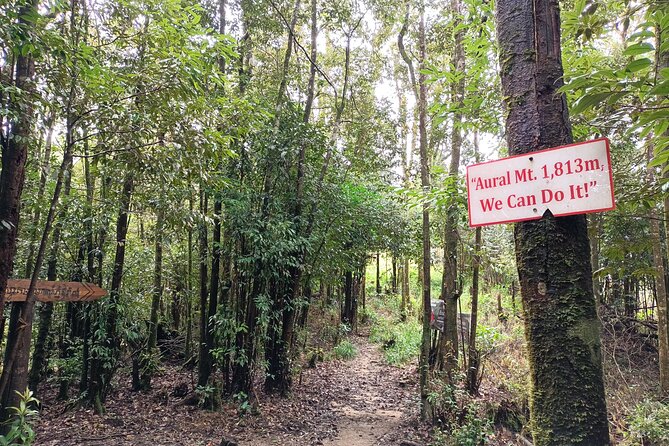 Aural Mountain Trek: Cambodia Tallest Peak Challenge - Camping: tents or hammocks, plus what meals and water mean for comfort