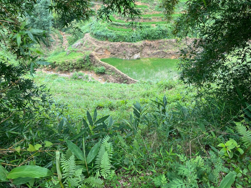 Authentic Sapa 2D1N Trek & Hmong Homestay with Dinh - Day 2: bamboo forests, terraced rice, and Giang Ta Chai waterfall