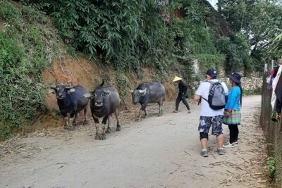 Authentic Sapa Trek 2 Days 1 Night – Local Experience with Mango - Getting started at Sa Pa Stone Church (and why timing matters)