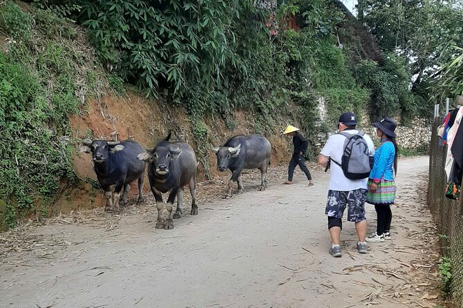 Authentic Sapa Trek 2 Days 1 Night – Local Experience with Mango - Getting started at Sa Pa Stone Church (and why timing matters)