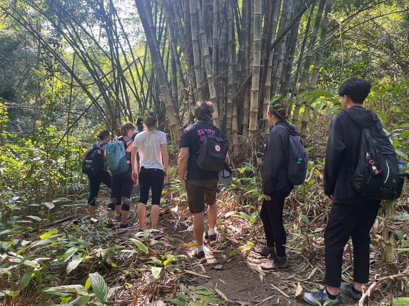 Authentic trek only walk in Chiang Rai jungle - Lisu village and Chinese village stops: culture you can ask about