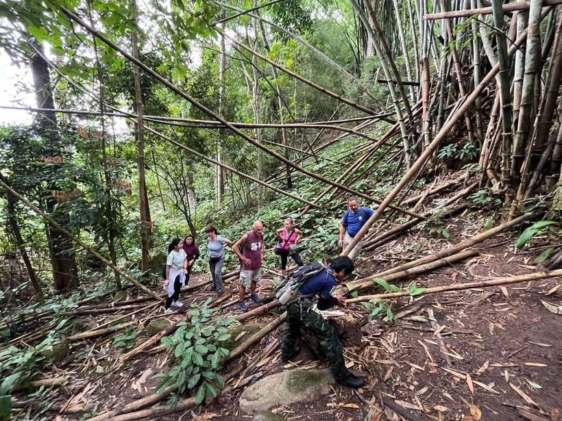 Authentic trek only walk in Chiang Rai jungle - Deeper jungle hiking to Akkha and Lahu communities