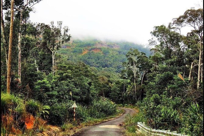 Ba Ho waterfalls ( Trekking + Swimming + Jumping +Amazing Nature) - Getting to Ba Ho: central Nha Trang pickup and a quick ride out