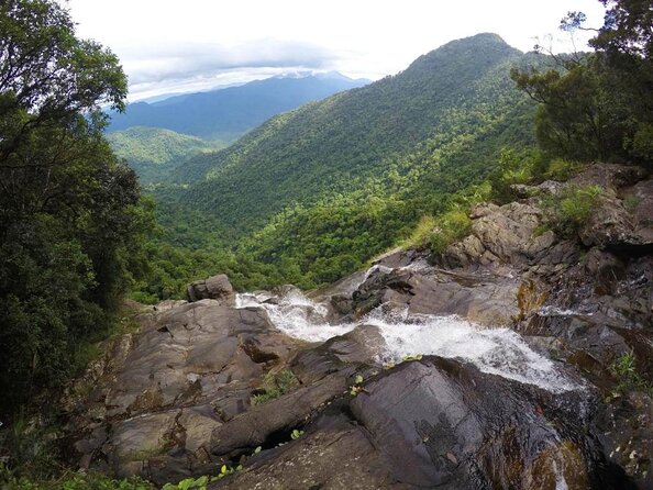 Bach Ma National Park trekking daily tour from Da Nang, Hoi An - From pickup to Km12: the morning plan that sets the tone