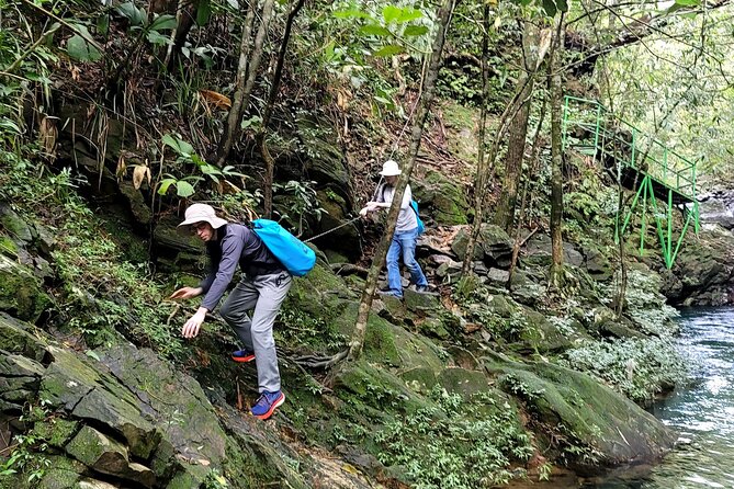 Bach Ma National Park trekking daily tour from Da Nang, Hoi An - Guides, small groups, and the names you might hear