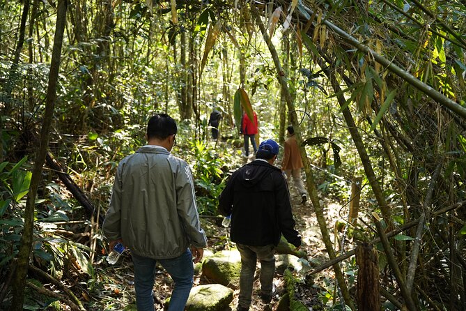 Bach Ma National Park trekking daily tour from Da Nang, Hoi An - Price and value: what $69 really buys you