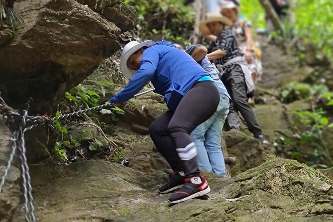 Bach Ma National Park trekking deluxe daily tour from Hue - Start Smart: Hotel Pickup and the First Park Lesson