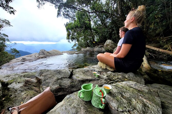 Bach Ma National Park trekking deluxe daily tour from Hue - Bach Ma Peak Views: What You Came For