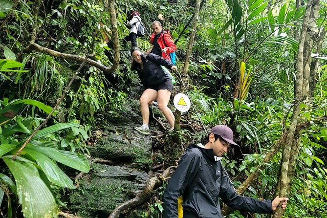Bach Ma National Park trekking deluxe daily tour from Hue - Picnic Lunch in the Right Place (And Why It Matters)