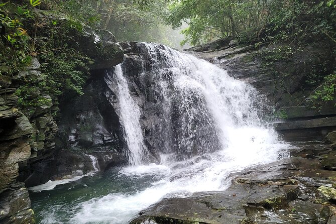 Bach Ma National Park trekking deluxe daily tour from Hue - Who This Tour Fits Best (And Who Should Skip It)