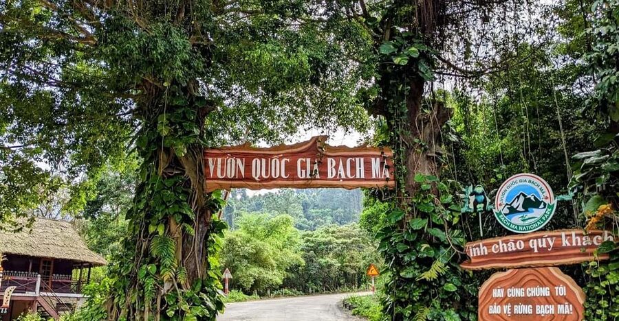 Bach Ma National Park Trekking Tour From Hue/Da Nang/Hoi An - First steps in Bach Ma: what you’ll do at the park gate