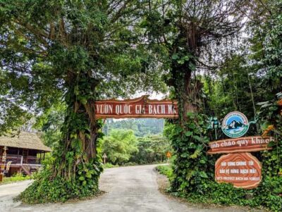 Bach Ma National Park Trekking Tour From Hue/Da Nang/Hoi An - The A/C bus, guide, and included gear that actually helps