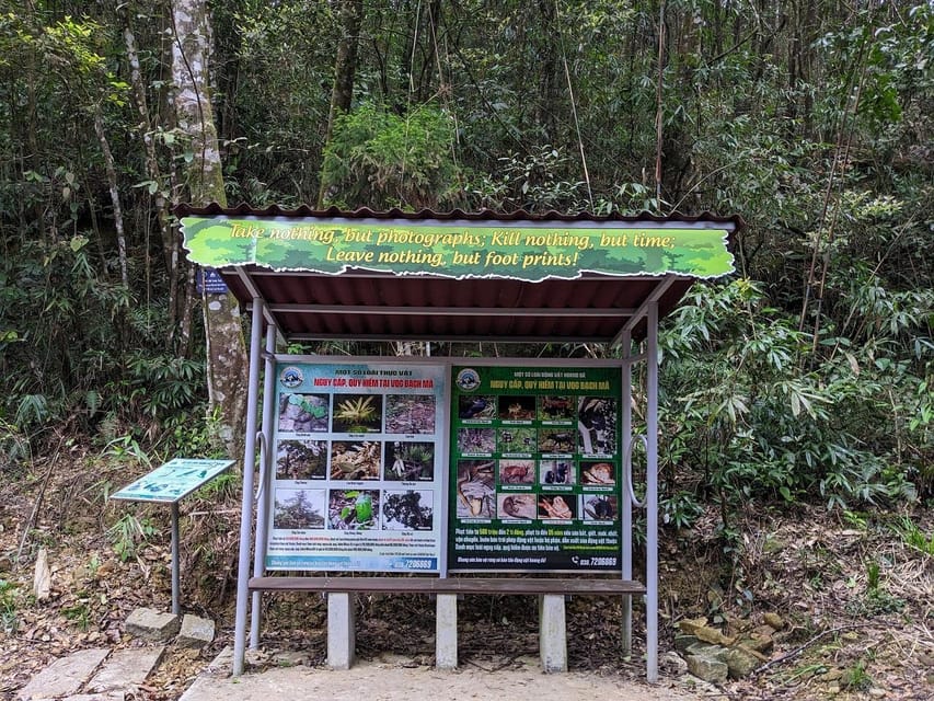 Bach Ma National Park Trekking Tour From Hue/Da Nang/Hoi An - Getting back to Hue, Da Nang, or Hoi An without losing the day