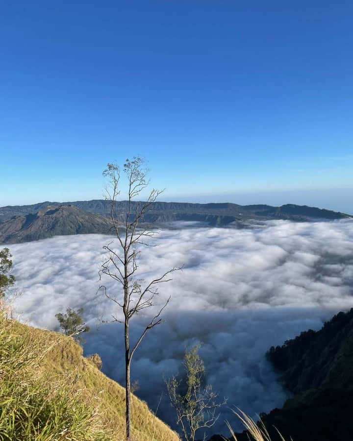 Bali: Caldera Sunrise Trek and Natural Hot Spring - Toya Bungkah hot springs: 37–40°C recovery at Mount Batur’s base