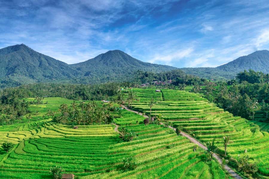 Bali: Jatiluwih Full-Day E-Bike and Trekking Tour - Why Jatiluwih and Batukaru make this a smart Bali day