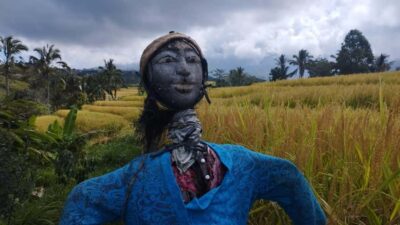 Bali: Jatiluwih Full-Day E-Bike and Trekking Tour - From Pura Luhur Batukaru to the e-bike countryside (first 2 hours)