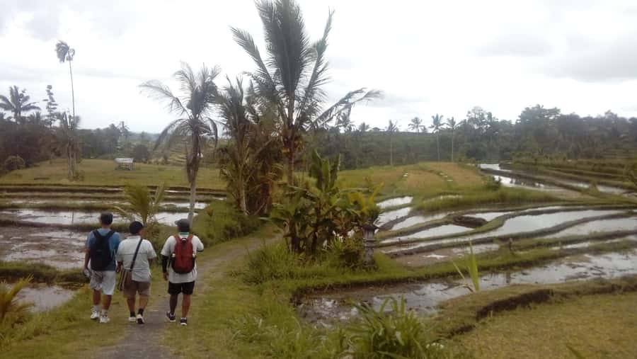 Bali: Jatiluwih Full-Day E-Bike and Trekking Tour - The 2.5-hour trek after lunch: medium effort with a countryside goal