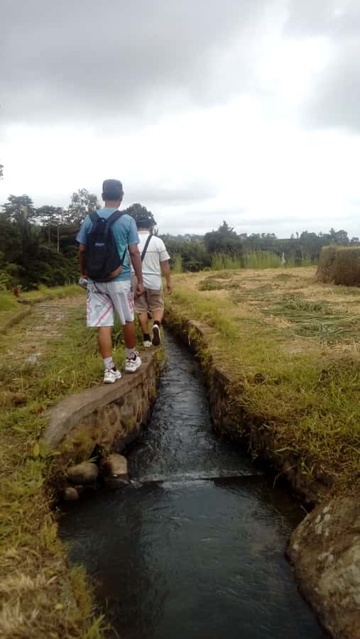 Bali: Jatiluwih Full-Day E-Bike and Trekking Tour - What $99 gets you (and why that can be fair value)