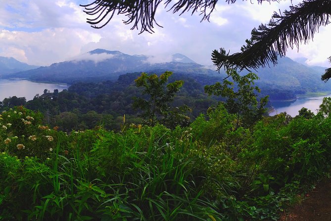 Bali Jungle Trekking and Lake Canoeing Tour - Price and what $34 really covers