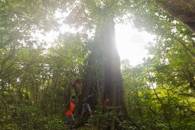 Bali Jungle Trekking and Lake Canoeing Tour - How the temple and culture layer fits in