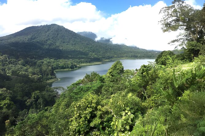 Bali Jungle Trekking in Beautiful Rainforest - What the Jungle Trek Around Tamblingan Feels Like