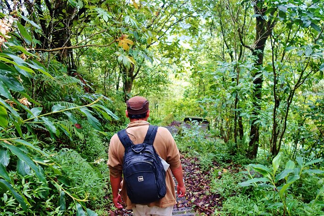 Bali Jungle Trekking in Beautiful Rainforest - Buyan Lake Stop: The Bali Twin Lake Moment