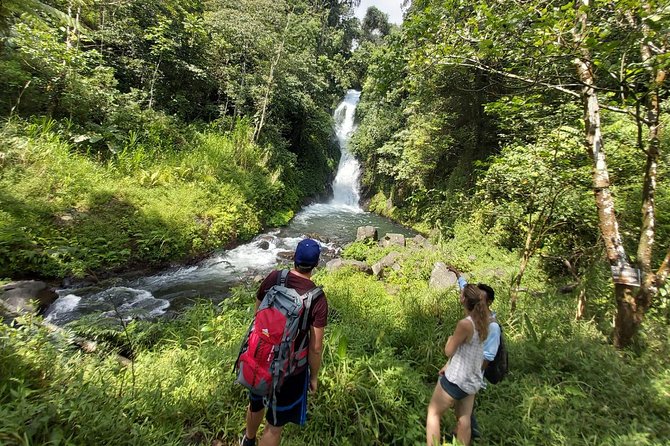 Bali Most Scenic Waterfalls Trekking - Hotel pickup and a private guide: how the day actually runs
