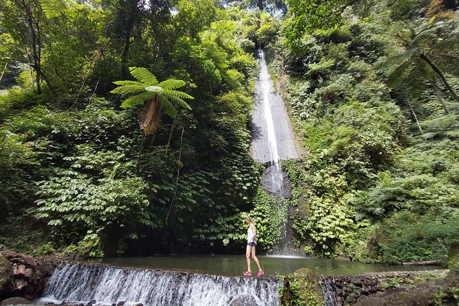Bali Most Scenic Waterfalls Trekking - A full-day route through North Bali: temples, lakes, rice terraces, then falls