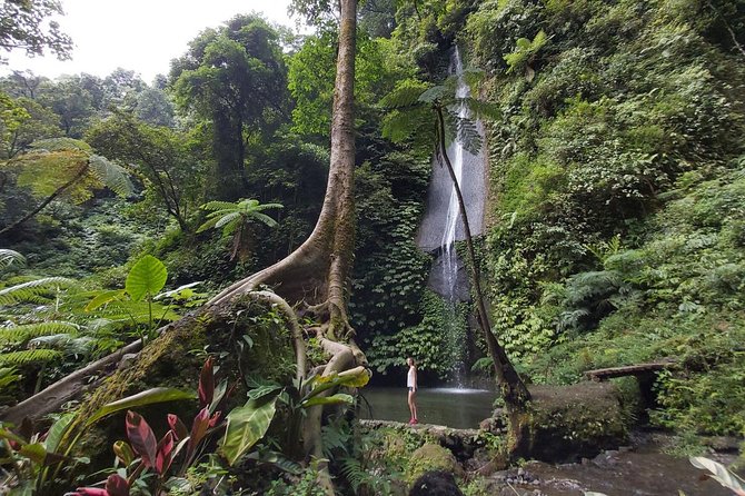 Bali Most Scenic Waterfalls Trekking - Who should book this Bali waterfall trek?