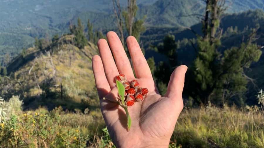 Bali: Mount Agung Sunrise Trekking Tour with Hotel Pickup - What to bring (and what not to): your checklist that prevents misery