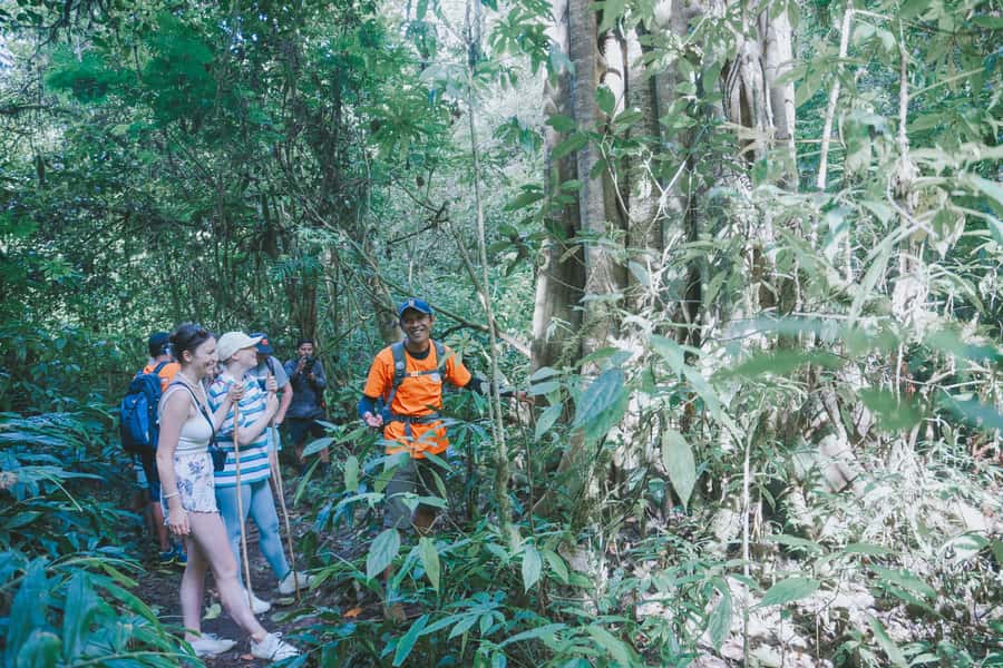 Bali: Munduk Waterfalls Trek, Twin Lakes and Temple Tour - Tamblingan Lake by canoe: a 30-minute break from the stairs