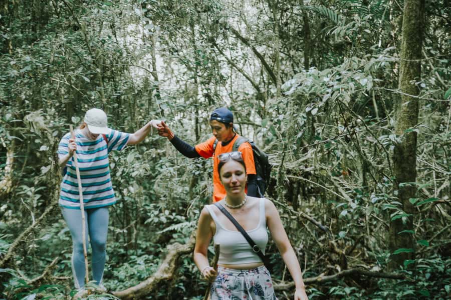 Bali: Munduk Waterfalls Trek, Twin Lakes and Temple Tour - First stop: Twin Lakes viewpoint and the jungle start