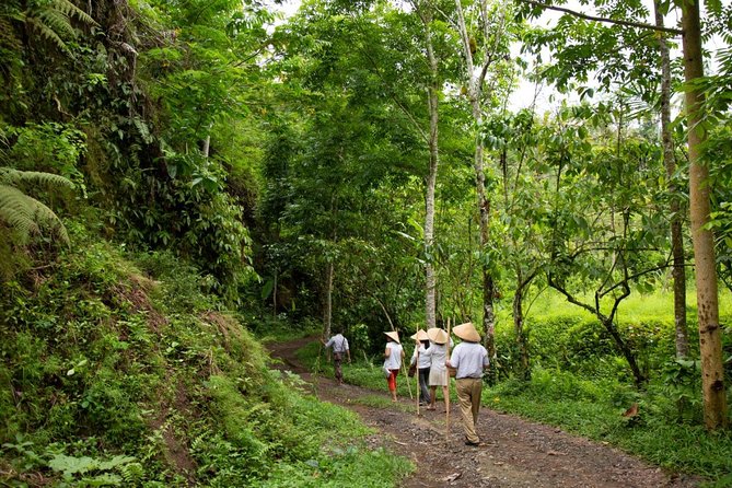 Bali Pure trek with spiritual journey, purification ceremony, local priest -Ubud - Key things to know before you go
