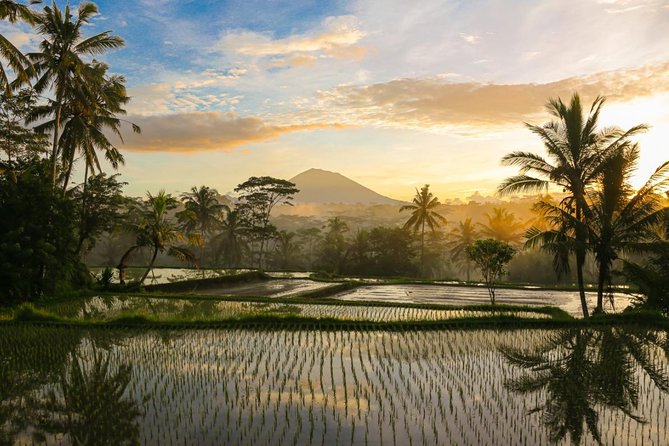 Bali Pure trek with spiritual journey, purification ceremony, local priest -Ubud - Why This Ubud Spiritual Day Feels Different Than Typical Bali Tours