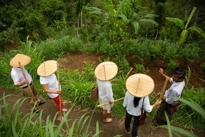 Bali Pure trek with spiritual journey, purification ceremony, local priest -Ubud - Visiting a Local Priest/Healer in Ubud: After-Cleansing Spiritual Conversation