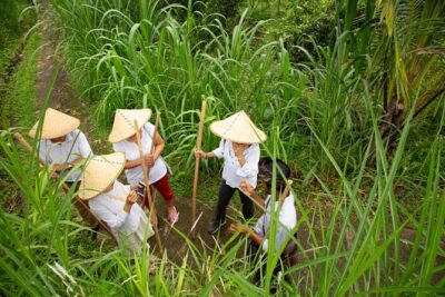 Bali Pure trek with spiritual journey, purification ceremony, local priest -Ubud - The 7:30am Start: Timing, Pace, and What to Expect From an 8-Hour Day