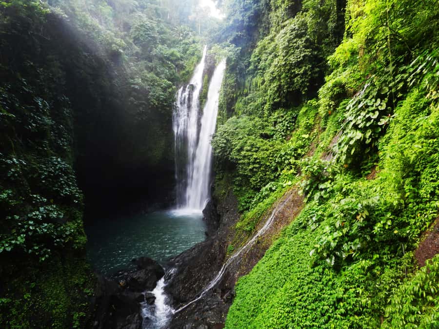 Bali: Sambangan Waterfalls Trekking, Sliding, & Jumping Trip - Key things to know before you go