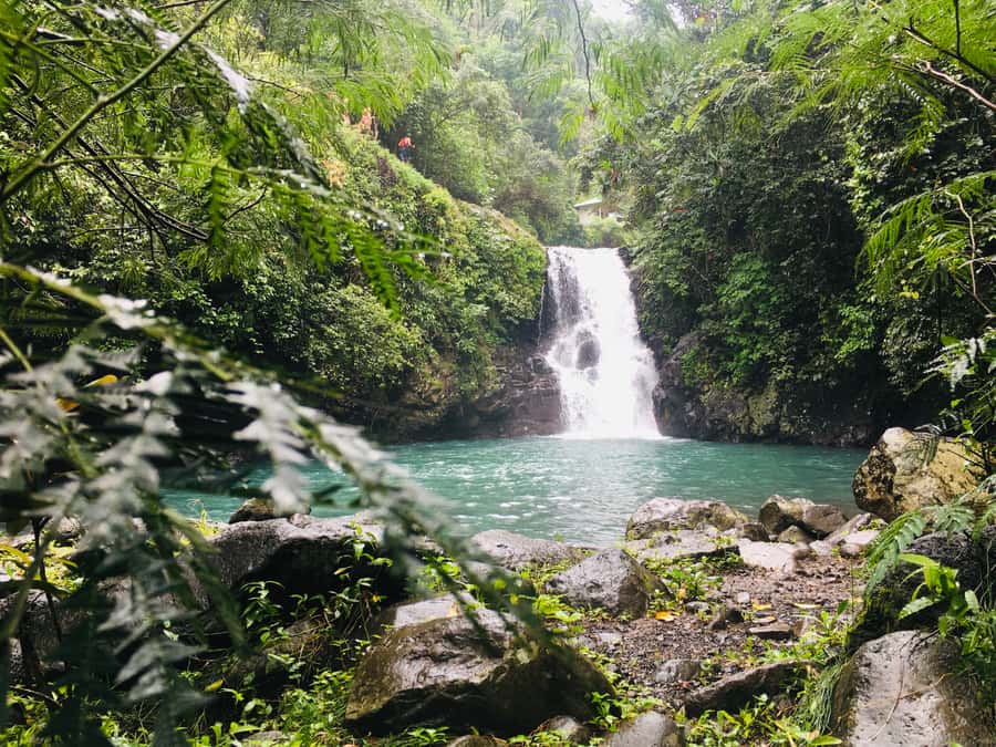 Bali: Sambangan Waterfalls Trekking, Sliding, & Jumping Trip - Price and value at about $69 for a full 10-hour hit of Bali