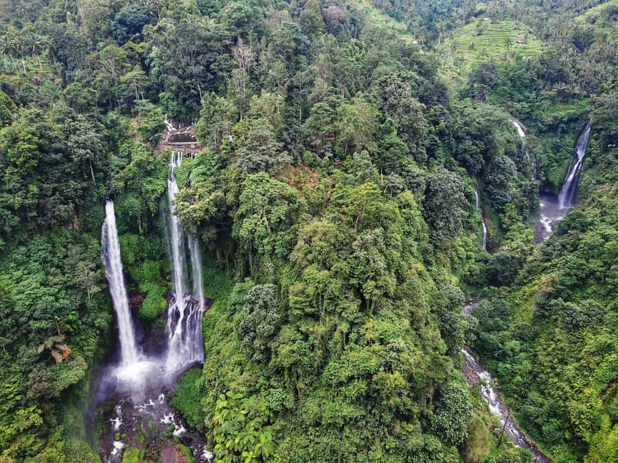 Bali: Sekumpul and Banyumala Waterfall Guided Trek - Sekumpul Waterfall: rice fields, a real trek, and photos with water in your face