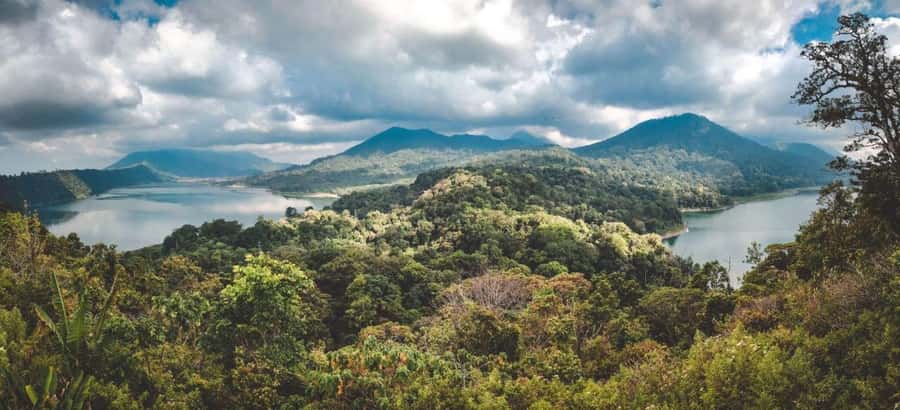 Bali: Sekumpul and Banyumala Waterfall Guided Trek - Hotel pickup, transfer timing, and how the day is paced