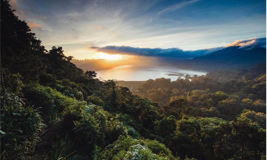 Bali: Twin Lakes, Handara Gates, and Forest Trekking Tour - Guides and the Small-Group Difference: Dewa, Kadek, Komang