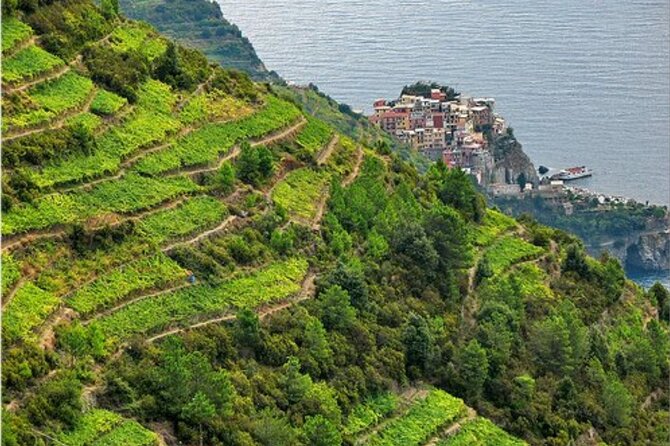 BarCa Winery Cinqueterre Trekking & Wine Tasting & Pesto Class - Price and time: what you actually get for $78.10