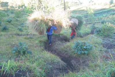 Batur Caldera Sunrise Trekking - The 4 a.m. start: what you’ll do before the first step